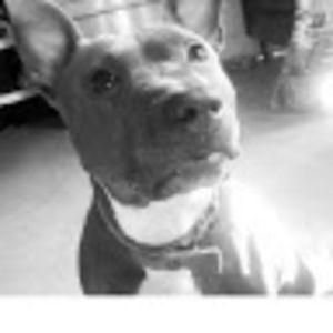 Meet your Posher, Marcia